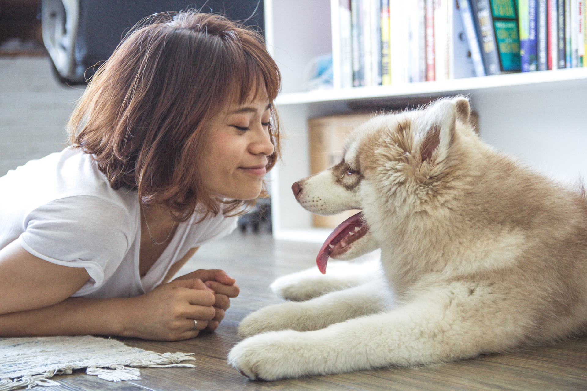 Sapevi che i cani sorridono? - Lega Nazionale per la Difesa del Cane