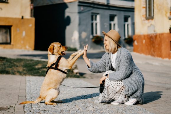 I cani sorridono davvero? Ecco cosa esprime il sorriso dei nostri amici a  quattro zampe - greenMe